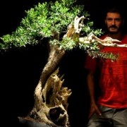 Andres Bicocca
