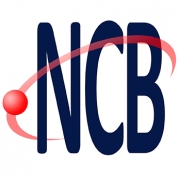 newtoncbraga