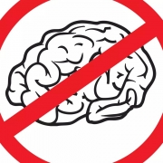 No Brain No Futute