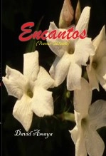 Libro Encantos, autor figaro Libro Encantos, autor figaro