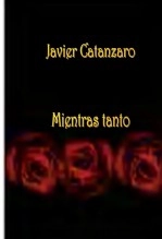 Libro Mientras tanto, autor Javier Catanzaro Libro Mientras tanto, autor Javier Catanzaro