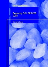 Beginning SQL SERVER 2008