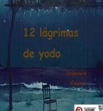 Libro 12 lágrimas de yodo, autor vfauve Libro 12 lágrimas de yodo, autor vfauve