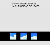 LA CURIOSIDAD DEL GATO