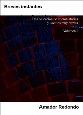 Breves instantes: Una selección de microhistorias y cuentos muy breves - Volumen 1