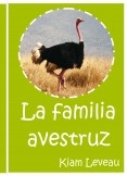 La familia avestruz La familia avestruz