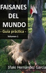 libroprimero.H_TITLE}