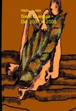 Libro Siete Cuentos - Del 2007 al 2008, autor Walter Hugo Rotela González Libro Siete Cuentos - Del 2007 al 2008, autor Walter Hugo Rotela González