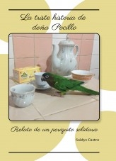 La triste historia de doña pocillo La triste historia de doña pocillo