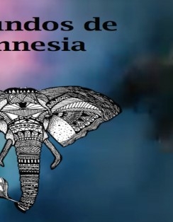 Segundos de amnesia