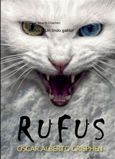 Rufus, ¡ Un lindo gatito!