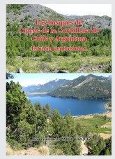 Libro Los bosques de Ciprés de la Cordillera de Chile y Argentina. Estudio geobotánico, autor José Luis Benito Alonso Libro Los bosques de Ciprés de la Cordillera de Chile y Argentina. Estudio geobotánico, autor José Luis Benito Alonso