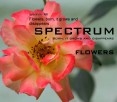 Flowers, born, it grows and disappears Flowers, born, it grows and disappears
