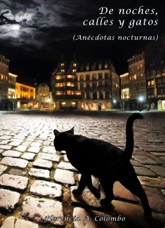 De noches, calles y gatos (Anécdotas nocturnas)