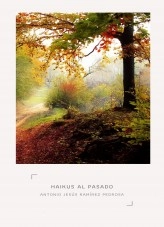 Libro Haikus al pasado, autor Antonio Jesús Ramírez Pedrosa Libro Haikus al pasado, autor Antonio Jesús Ramírez Pedrosa