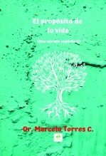 el propósito de la vida una mirada espiritual el propósito de la vida una mirada espiritual
