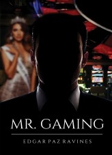 Mr. Gaming Mr. Gaming