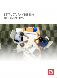 Estructura y diseño organizativo