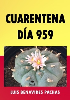 CUARENTENA DÍA 959