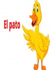 El pato