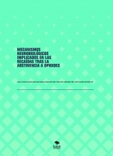 MECANISMOS NEUROBIOLÓGICOS IMPLICADOS EN LAS RECAÍDAS TRAS LA ABSTINENCIA A OPIOIDES MECANISMOS NEUROBIOLÓGICOS IMPLICADOS EN LAS RECAÍDAS TRAS LA ABSTINENCIA A OPIOIDES