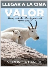 Libro ZONA DE CONFORT, autor Verónica Fanjul Libro ZONA DE CONFORT, autor Verónica Fanjul