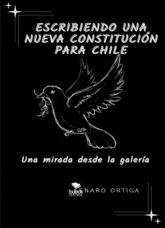 ESCRIBIENDO UNA NUEVA CONSTITUCION PARA CHILE, Una mirad desde la galería