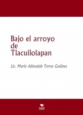 Libro Bajo el arroyo de Tlacuilolapan, autor Mario Abinadab Torres Godínez Libro Bajo el arroyo de Tlacuilolapan, autor Mario Abinadab Torres Godínez