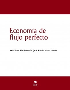 Economía de flujo perfecto