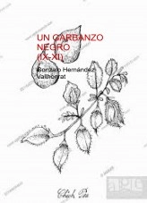 Libro Un garbanzo negro (IX-XI), autor Gonzalo Hernández Vallhonrat Libro Un garbanzo negro (IX-XI), autor Gonzalo Hernández Vallhonrat