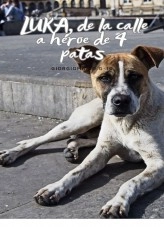 Libro "LUKA, de la calle, a héroe de 4 patas", autor Kathy Nelly Marimon Moreno Libro "LUKA, de la calle, a héroe de 4 patas", autor Kathy Nelly Marimon Moreno