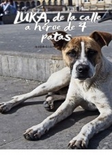 "LUKA, de la calle, a héroe de 4 patas" "LUKA, de la calle, a héroe de 4 patas"