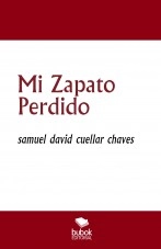 Libro Mi Zapato Perdido, autor samuel chaves Libro Mi Zapato Perdido, autor samuel chaves
