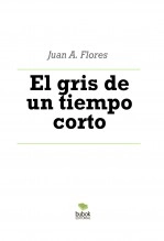 Libro El gris de un tiempo corto, autor juanan Libro El gris de un tiempo corto, autor juanan