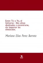 Libro Entre Tú y Yo, el Universo - Dos almas destinadas a encontrarse, sin importar los obstáculos., autor Mariano Elias Perez Barreto Libro Entre Tú y Yo, el Universo - Dos almas destinadas a encontrarse, sin importar los obstáculos., autor Mariano Elias Perez Barreto