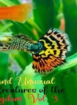 Libro Surprising and unusual rarities and creatures of the Animal Kingdom. Vol. 3, autor Zoila Camacho Libro Surprising and unusual rarities and creatures of the Animal Kingdom. Vol. 3, autor Zoila Camacho